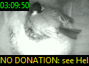 03:09:50