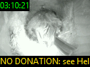 03:10:21