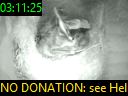 03:11:25