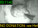 03:11:42