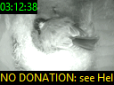 03:12:38
