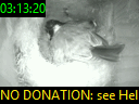 03:13:20