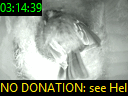 03:14:39