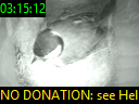 03:15:12