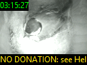 03:15:27