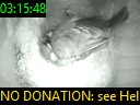 03:15:48