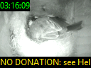 03:16:09