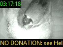 03:17:18