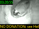 03:20:55