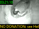 03:21:10