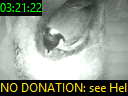 03:21:22