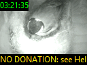 03:21:35