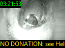 03:21:53