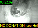 03:22:09