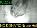 03:22:23