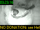 03:23:16