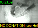 03:23:39