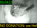 03:24:22
