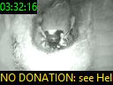 03:32:16