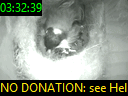 03:32:39