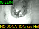 03:33:04