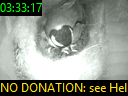 03:33:17