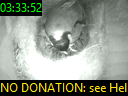 03:33:52