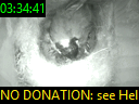 03:34:41