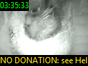 03:35:33