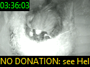 03:36:03