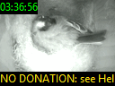 03:36:56