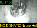 03:37:30