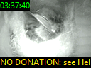 03:37:40