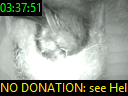 03:37:51