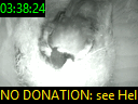03:38:24