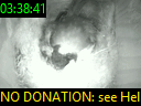 03:38:41