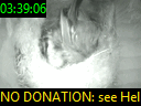 03:39:06