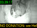 03:39:17