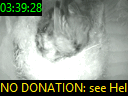 03:39:28