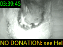 03:39:45