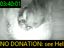 03:40:01