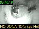 03:40:19