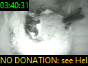 03:40:31