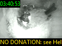 03:40:53