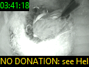 03:41:18