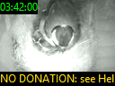 03:42:00
