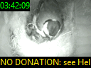 03:42:09