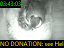 03:43:03