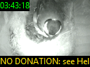03:43:18