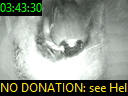 03:43:30